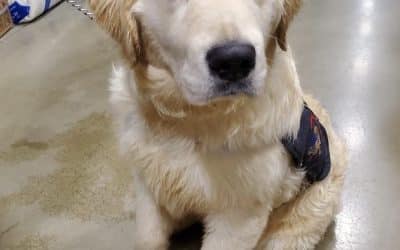 Pet Friendly Assisted Living for Seniors in Indiana